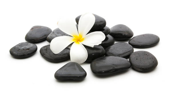 istock spa stones and beautiful plumeria on white background 827423504