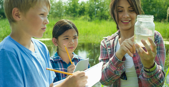 A multi-ethnic group of school children are on a school science trip to a pond outdoors. In this frame a hispanic female teacher is next to two students examining their findings from the pond.