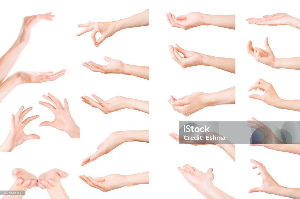 Set of woman hands showing, holding and supporting something. Isolated with clipping path Hands gestures collection. Set of woman hands showing, holding and supporting something. Isolated on white, clipping path included Hand Stock Photo