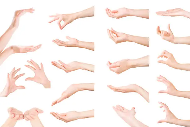 Hands gestures collection. Set of woman hands showing, holding and supporting something. Isolated on white, clipping path included
