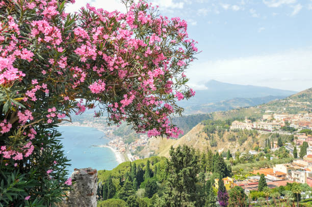 istock Beautiful postcard view with flowers over Taormina, Sicily 827438000