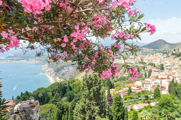 istock Beautiful postcard view with flowers over Taormina, Sicily 827438012