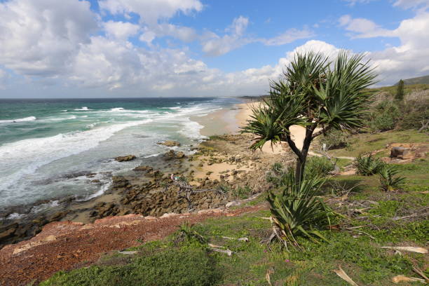 Point Arkwright in QLD Australia A cloudy day at Point Perry on the Sunshine Coast of Queensland in Australia caloundra stock pictures, royalty-free photos & images