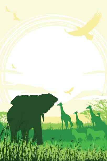 illustrations, cliparts, dessins animés et icônes de fond de safari africain avec des barrissements des zèbres, des girafes et des éléphants - trumpeting