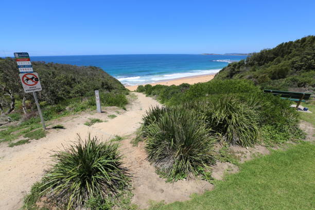 istock A sunny day at Turimetta Beach in Sydney 827445312