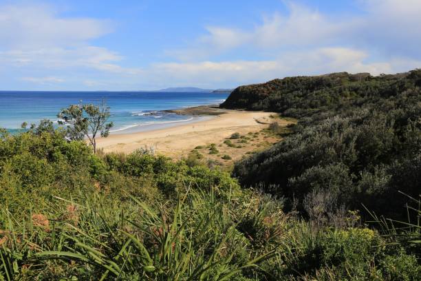 día soleado en la playa de rennie en ulladulla - ulladulla fotografías e imágenes de stock