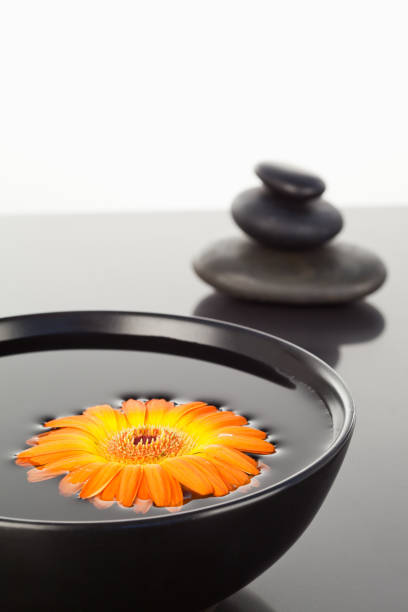 istock Orange gerbera floating on a black bowl and a stack of black pebbles 827445684