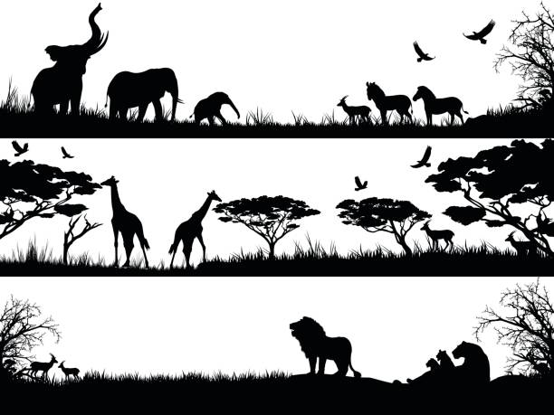 illustrations, cliparts, dessins animés et icônes de silhouettes ensemble d’animaux sauvages d’afrique dans des habitats de caractère - savane africaine