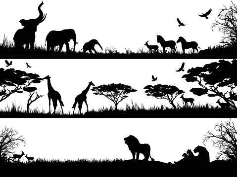 Silhouettes set of African wild animals in nature habitats.