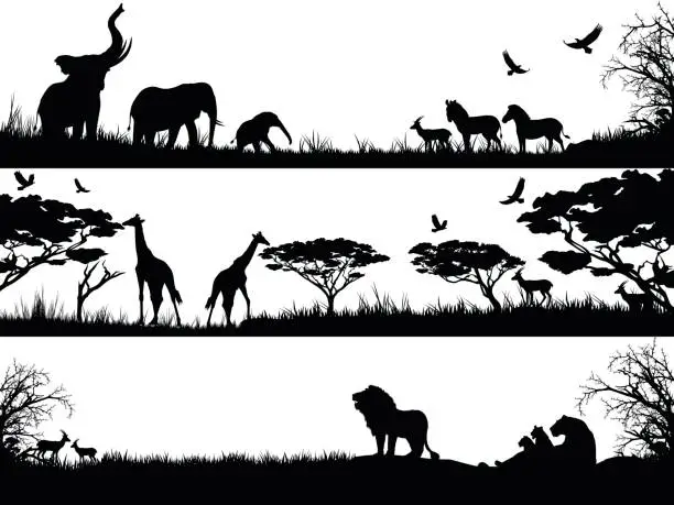 Vector illustration of Silhouettes set of African wild animals in nature habitats