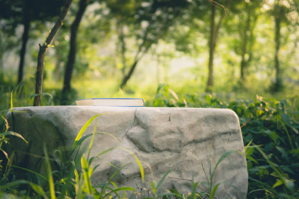 The Book on stone with the sunlight in Natural background.