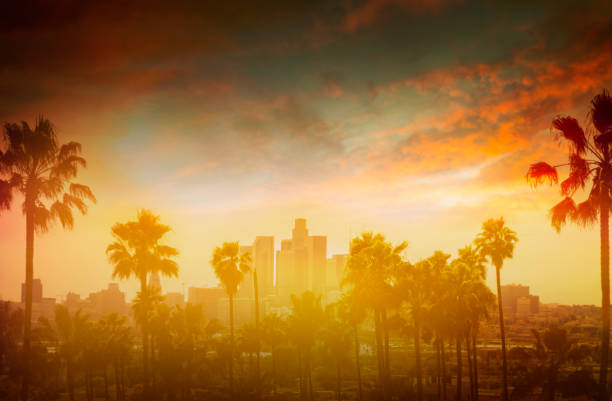 istock Downtown Los Angeles 827466102