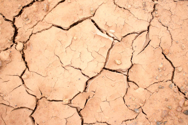 istock Dry land, Ground caused by drought. 827468628