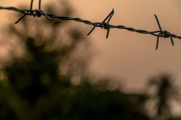 istock Barbed wire on concrete fence 827469922
