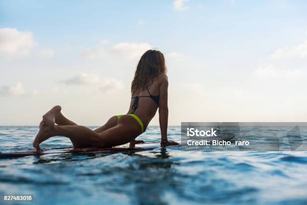 Photo libre de droit de Fille De Surfer Sur La Planche De Surf Ont Un Amusement Avant Surf banque d'images et plus d'images libres de droit de Femmes