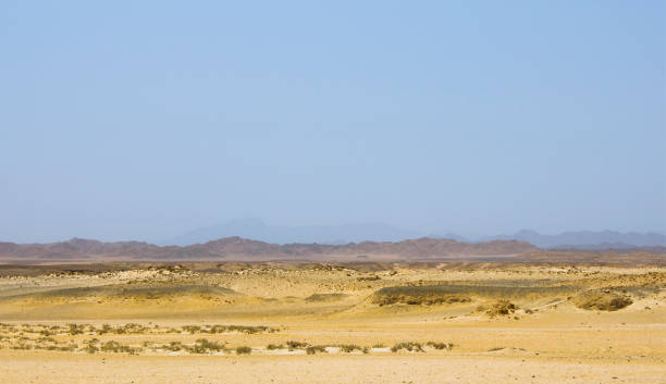 istock in Egypt at the sunset Sandy desert 827489514