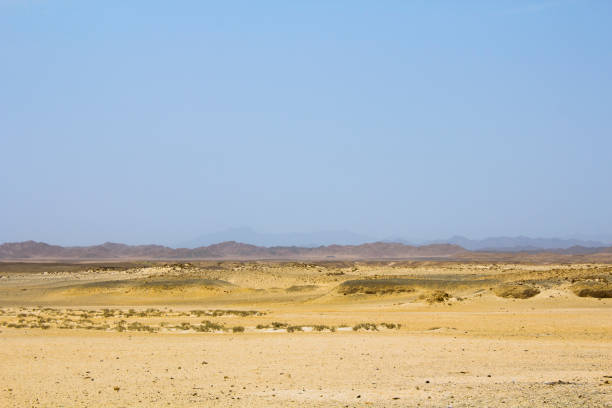 istock in Egypt at the sunset Sandy desert 827489836