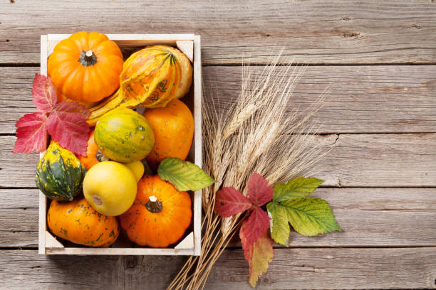 istock Autumn pumpkins on wooden table 827490124