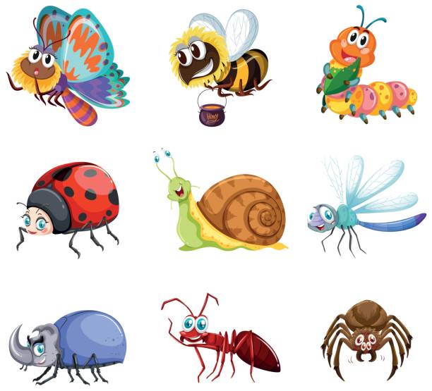 ilustrações, clipart, desenhos animados e ícones de diferentes tipos de insetos - caterpillar white isolated white background