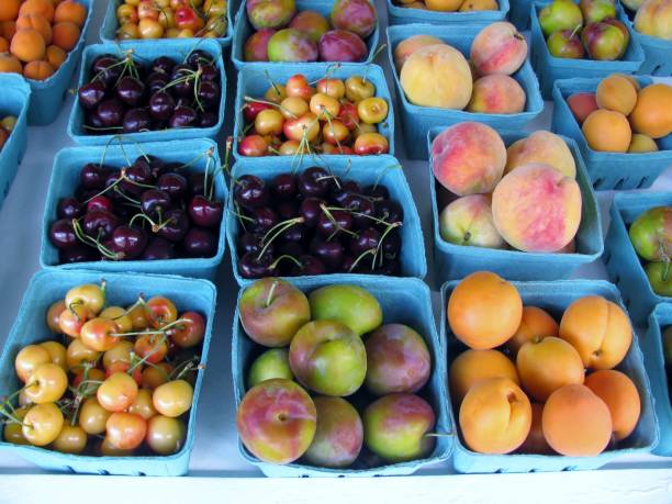 apricots, cherries, peaches and plums at the market - okanagan valley imagens e fotografias de stock