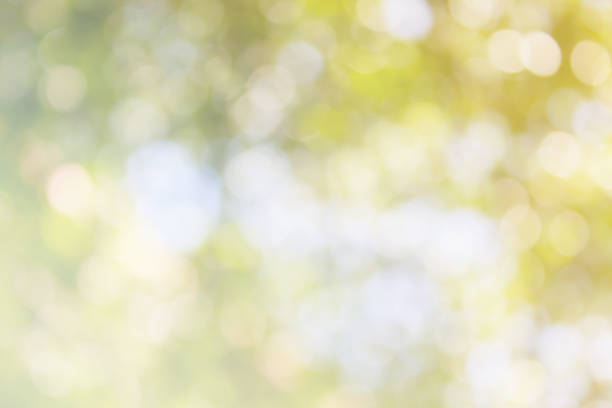 istock abstract natural blur background, defocused leaves, bokeh 827508008