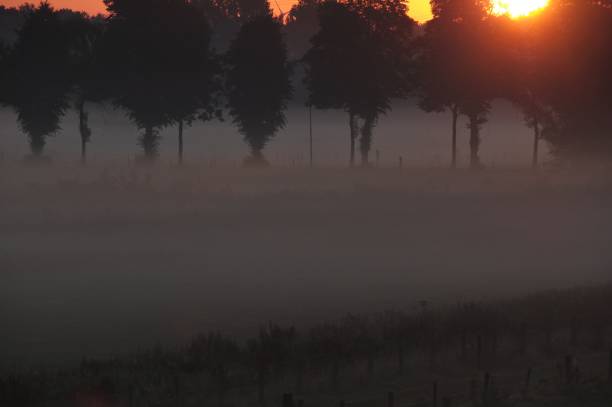istock Beginning of a new day 827510956