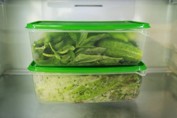 Two plastic food containers with green vegetable (salad, basil, dill, sorrel, peas, cucumber, pepper) on a shelf of a fridge. Two plastic food containers with green vegetable (salad, basil, dill, sorrel, peas, cucumber, pepper) on a shelf of a fridge. leftovers photos stock pictures, royalty-free photos & images