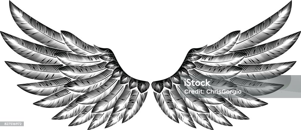 Pair of Bird Wings Pair of spread etched woodcut vintage style wings Animal Wing stock vector