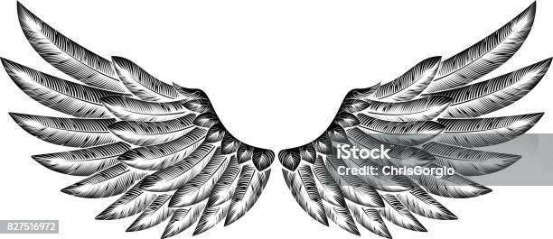 Pair Of Bird Wings Stock Illustration - Download Image Now - Animal Wing, Eagle - Bird, Angel