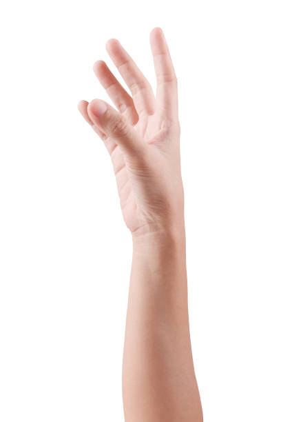 istock Woman beautiful hand handle of posture isolated on a white background with clipping path 827526886