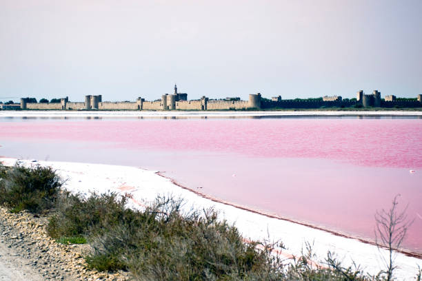 istock the saline of treble moetes 827528562
