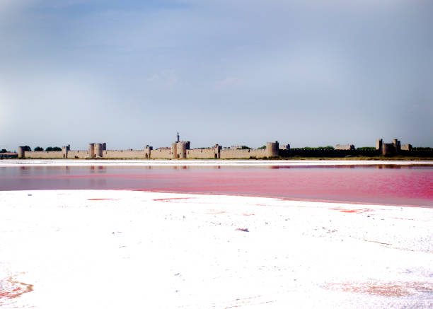 istock the saline of treble moetes 827528886