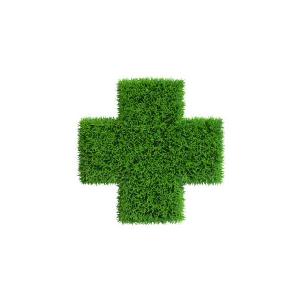istock Patch of grass in form of cross. 3D rendering illustration. 827532876
