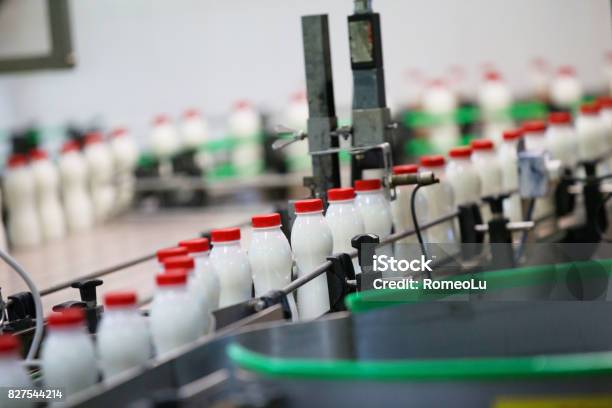 Milk Bottles In A Milk Factory Stock Photo - Download Image Now - Milk, Dairy Product, Factory