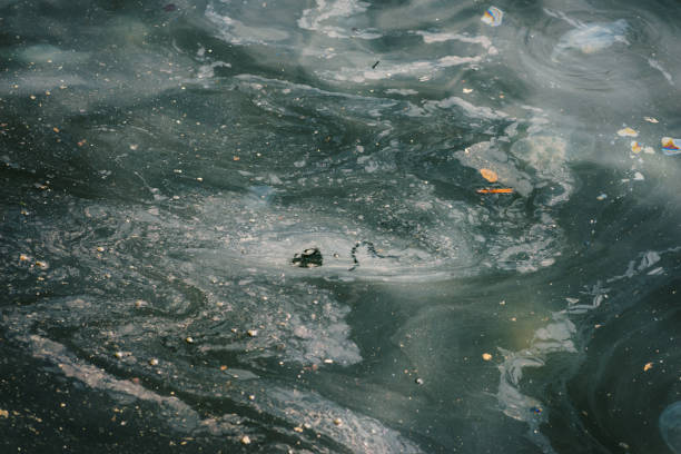물에 기름과 쓰레기 오염입니다. - pollution sea toxic waste garbage 뉴스 사진 이미지