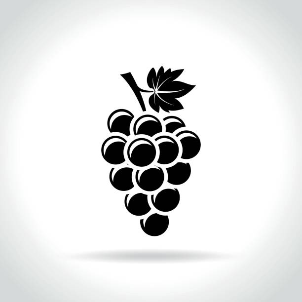 illustrations, cliparts, dessins animés et icônes de icône de raisins sur fond blanc - raisin illustrations