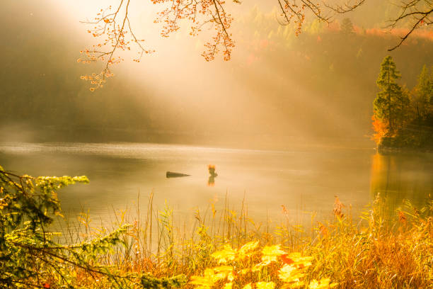 Beautiful landscape with autumn colors, sun rays and mist over lake and forest, in Fussen, Germany. Perfect for an autumn concept.
