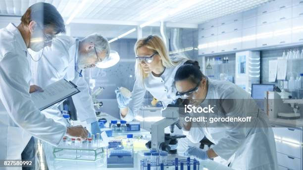 Team Of Medical Research Scientists Work On A New Generation Disease Cure They Use Microscope Test Tubes Micropipette And Writing Down Analysis Results Laboratory Looks Busy Bright And Modern Stock Photo - Download Image Now