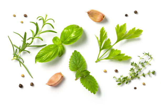 Selectionof herbs and spices, isolated stock photo