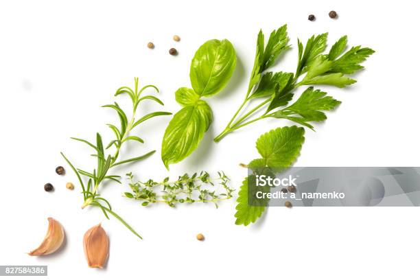 Selectionof Herbs And Spices Isolated Stock Photo - Download Image Now - Herb, Salt - Seasoning, Cut Out