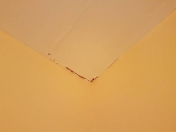 istock water damage in the corner of a room 827584490
