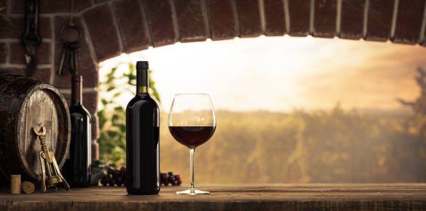red wine tasting in the cellar - wine cellar wine bottle grape imagens e fotografias de stock
