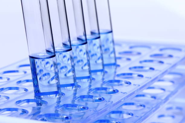 istock Blue Liquid in Glass Tube Lab Test tools on plastic stand holder, group of five 827596420