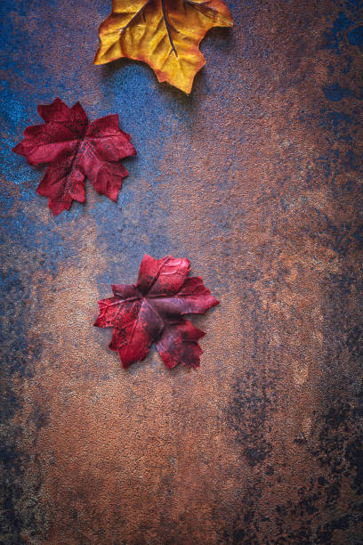 istock Autumn Decoration Background with Leafs and Nuts 827599412
