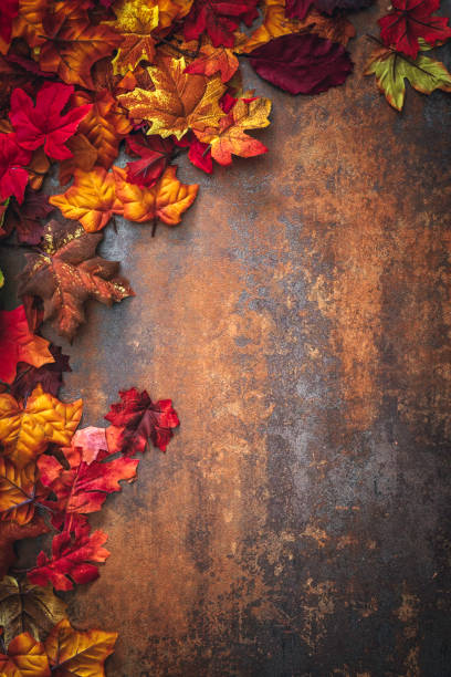 istock Autumn Decoration Background with Leafs 827599506