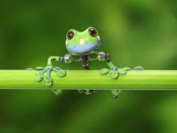 Photo of treefrog on a branch