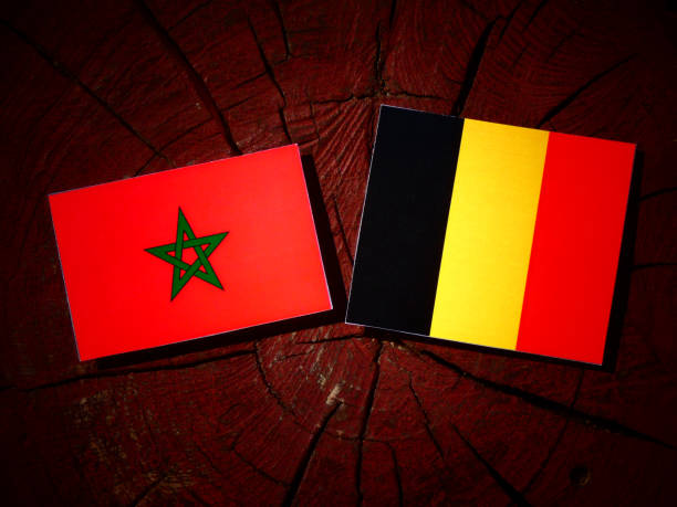 bandiera marocchina con bandiera belga su ceppo albero isolato - belgium morocco foto e immagini stock