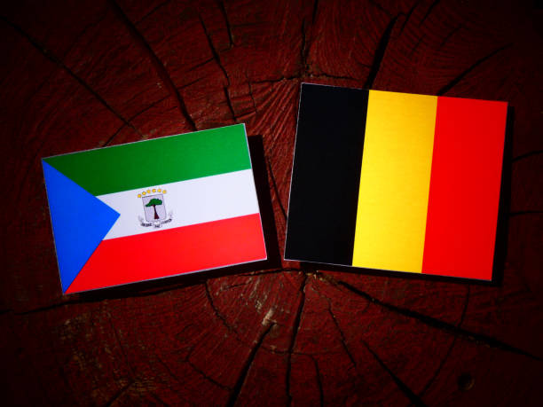 istock Equatorial Guinea flag with Belgian flag on a tree stump isolated 827607704