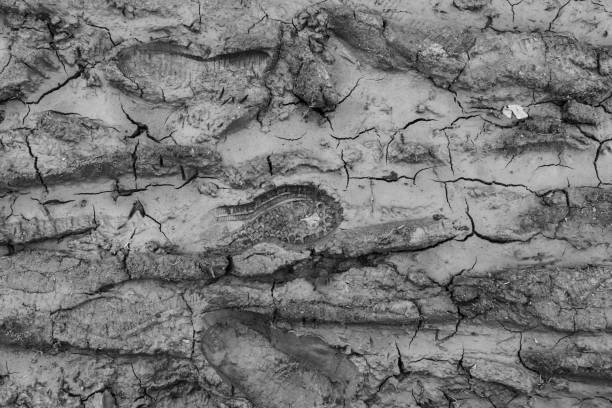 Footprint in the dirt. black and white stock photo