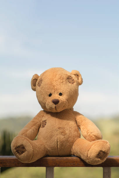 istock Brown teddy bear on wooden floor 827631954